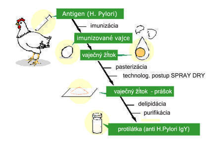 pylox-06